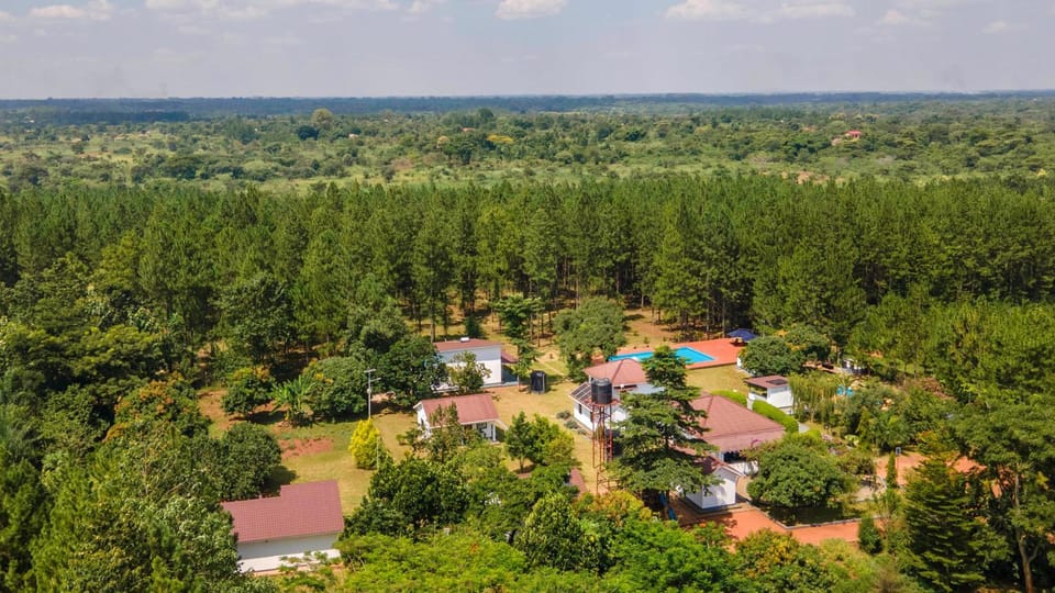 Day, Natural landscape, Bird's eye view