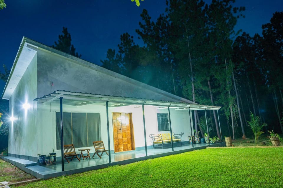 Property building, Night, Garden, Garden view, Family