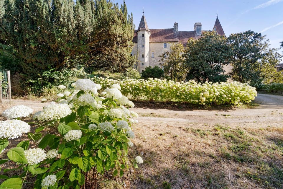 B&B Château L'Evêque en Périgord Bed and Breakfast in Nouvelle-Aquitaine