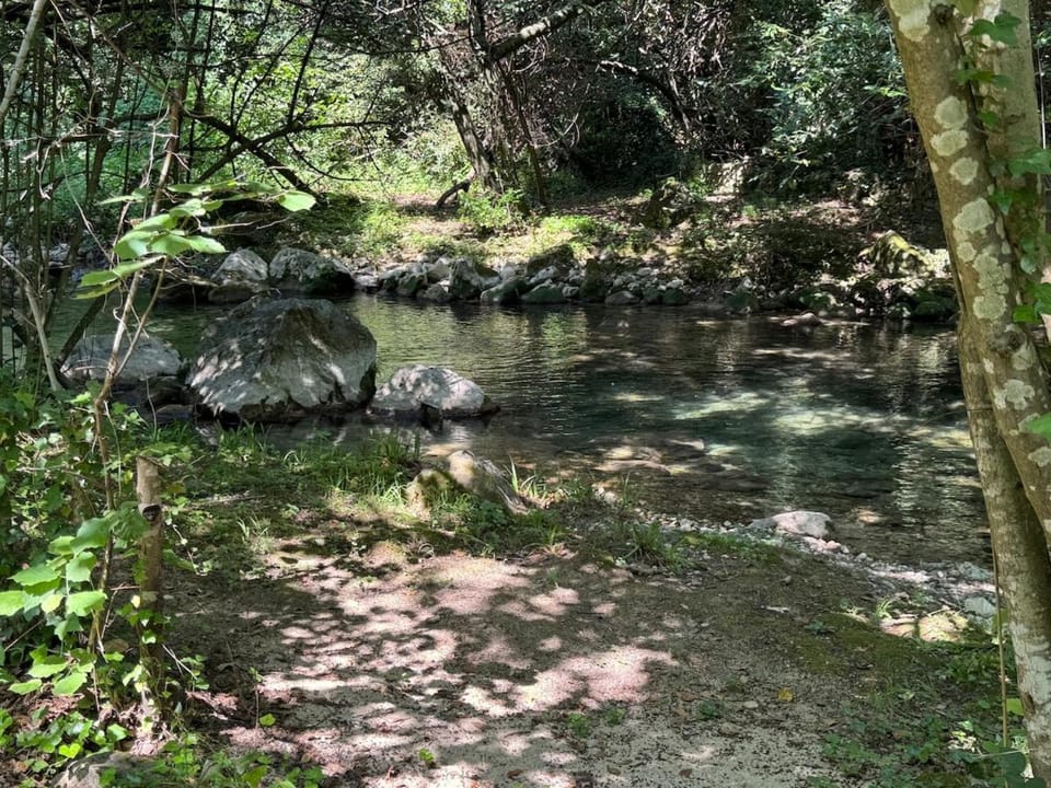 Petit Paradis Nature Cabanon & Rivière Villa in Vence