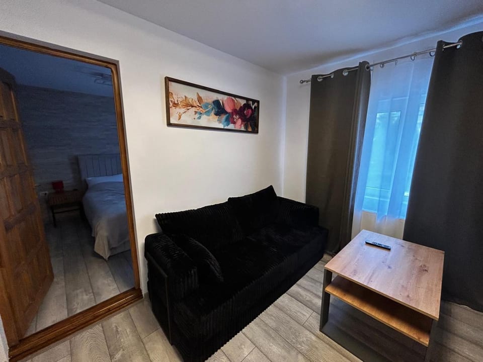 Apart Robert 2 Apartment in Romania