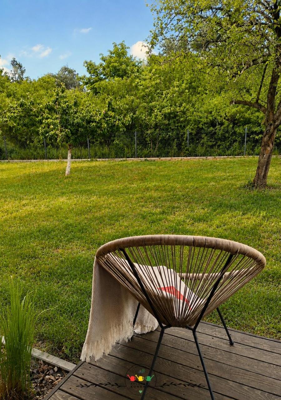 Spring, Day, Natural landscape, Garden, Garden view