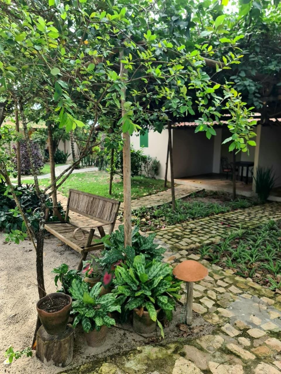 Garden view