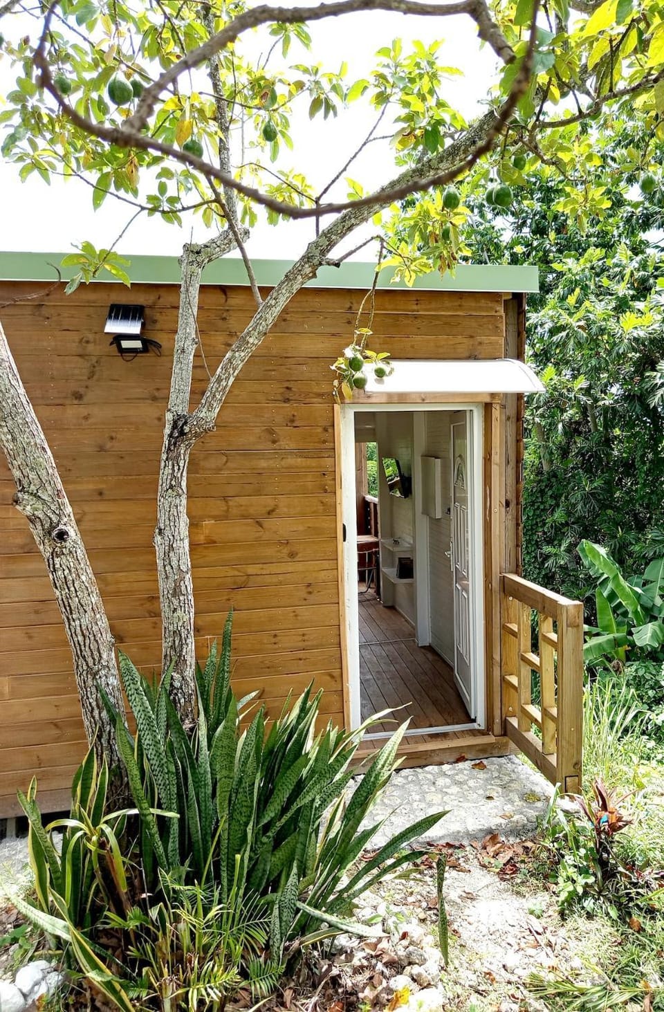 Gîte Amani Jardin Tropical Le Moule, Guadeloupe House in Sainte-Anne