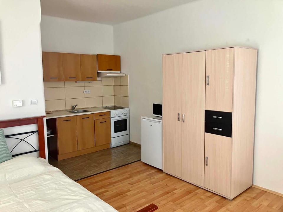Kitchen or kitchenette, kitchen