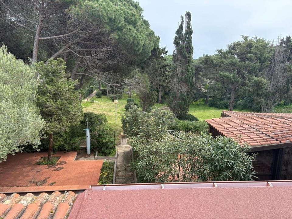 Stintino House, 5 minutes from the beach-garden House in Stintino
