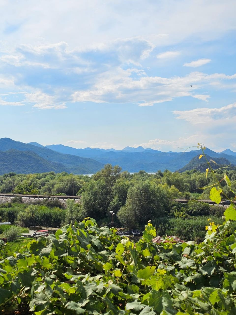 The Wine Cellar Apartment Skadar Lake Apartment in Podgorica Municipality, Montenegro