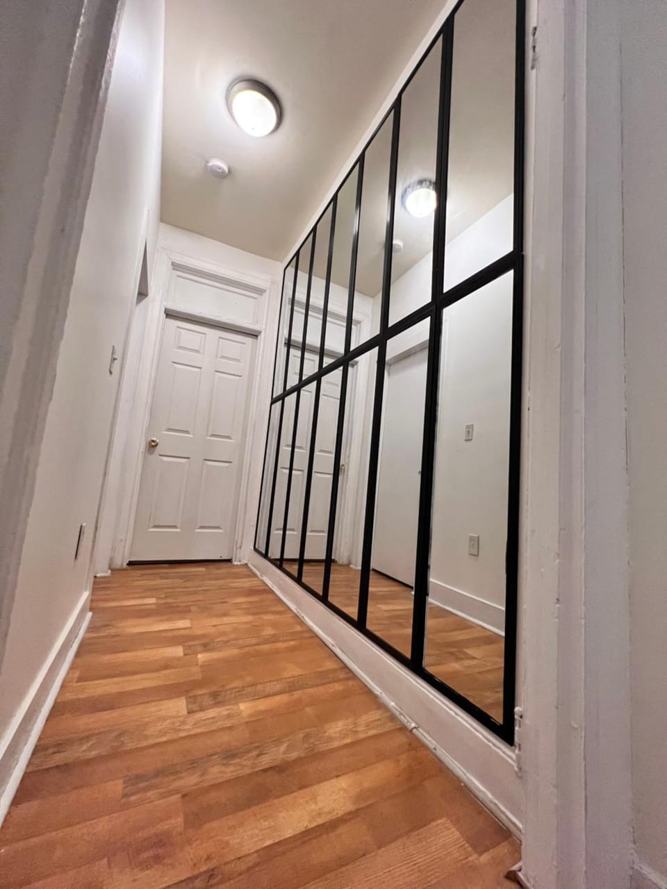 Hause of Vibes on Temple Campus Apartment in Philadelphia