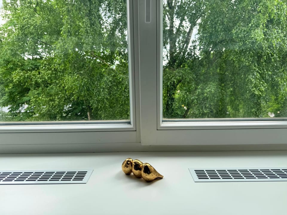 2 room central apartment Apartment in Latvia