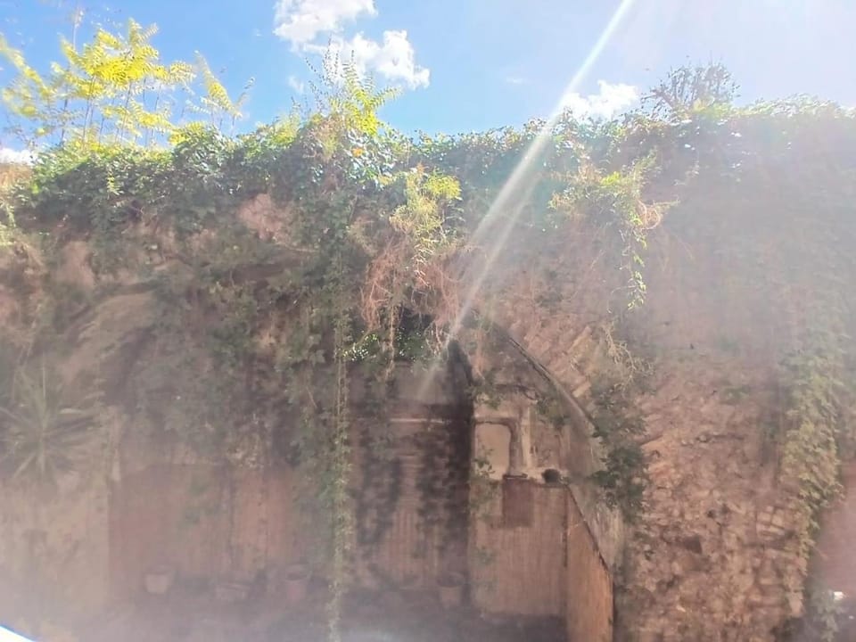 Rome Code Trastevere Guest House Bed and Breakfast in Rome