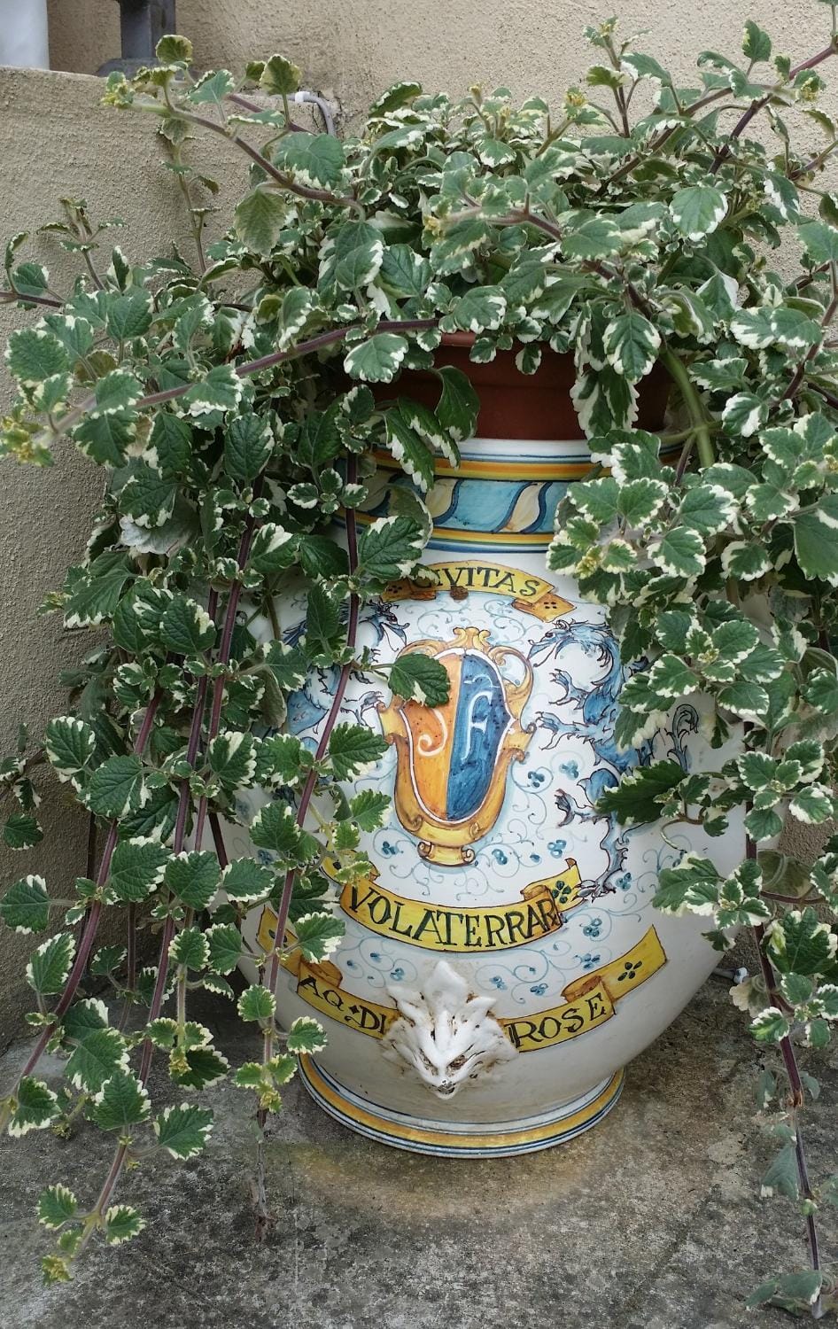 Facade/entrance, Decorative detail