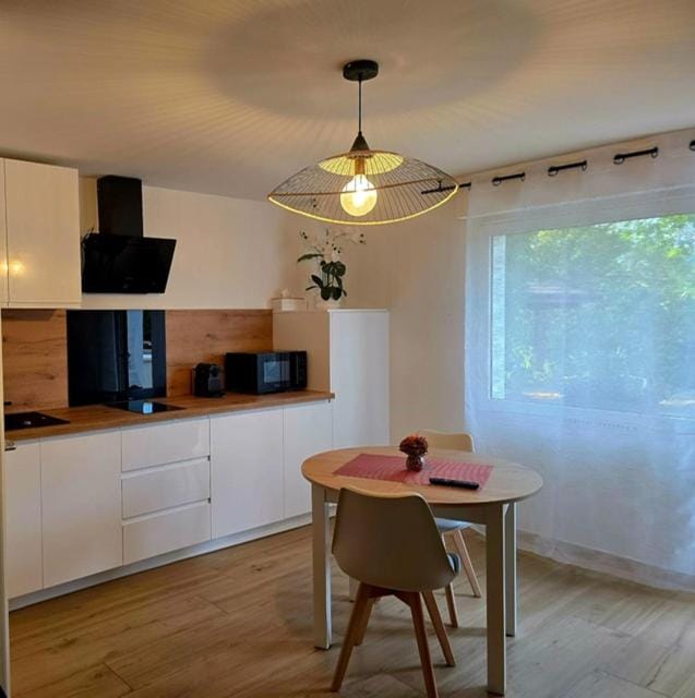Studio Cosy rénové proche Annecy avec terrasse et parking privé sécurisé gratuit Apartment in Haute-Savoie