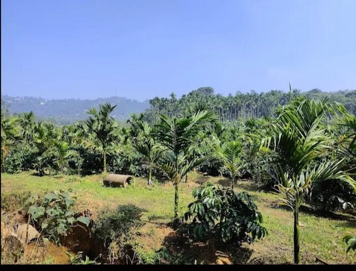 Kushi estate stay Thalathmane madikeri Vacation rental in Karnataka