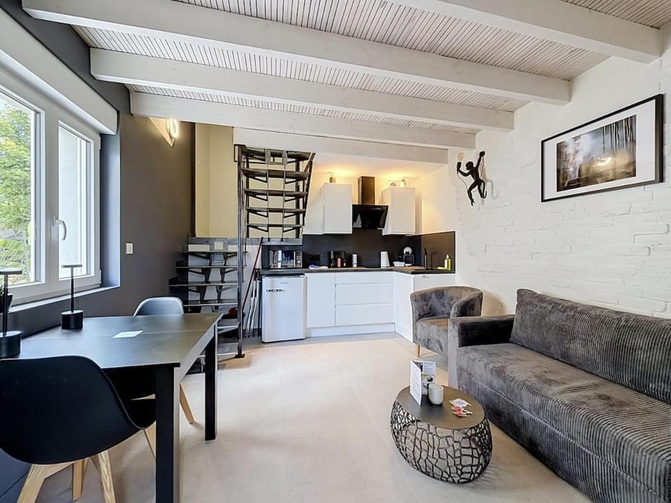 2 Duplex Climatisés 9 Pers Brézet Apartment in Clermont-Ferrand
