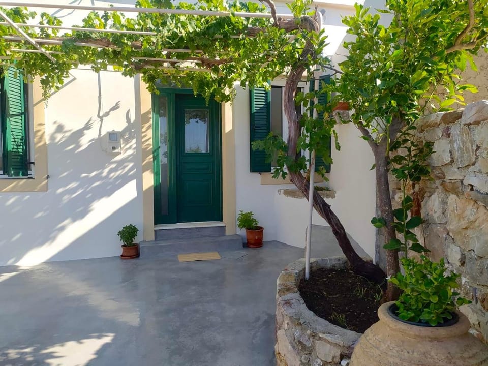 Matsipeti House in Islands
