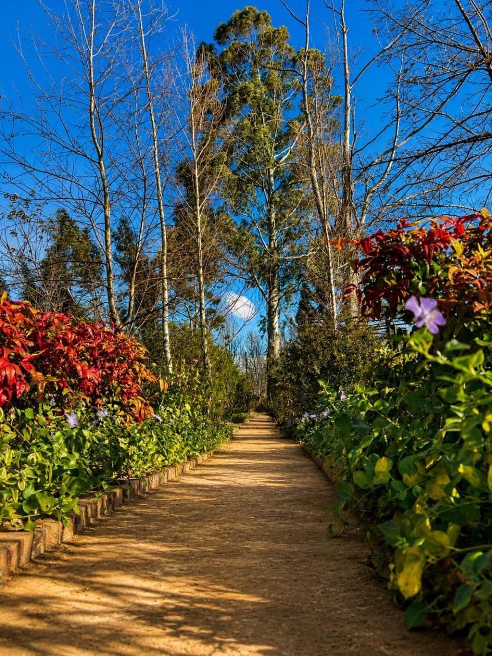 Garden, Garden view