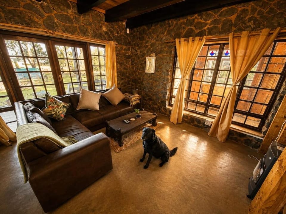 Living room, Seating area, Pets
