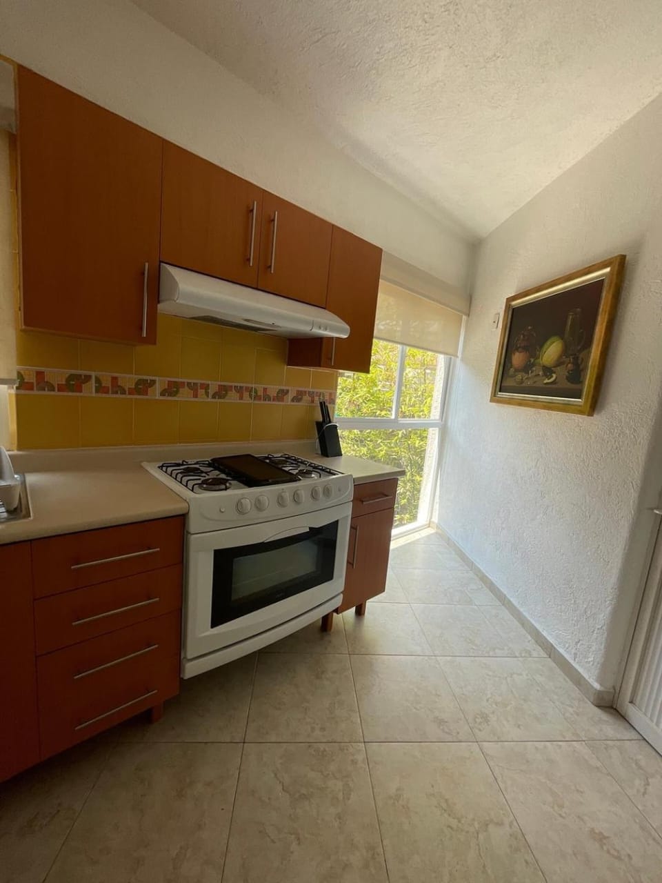 Apartment with Pool, Gym & A/C Suite Apartment in Santiago de Queretaro