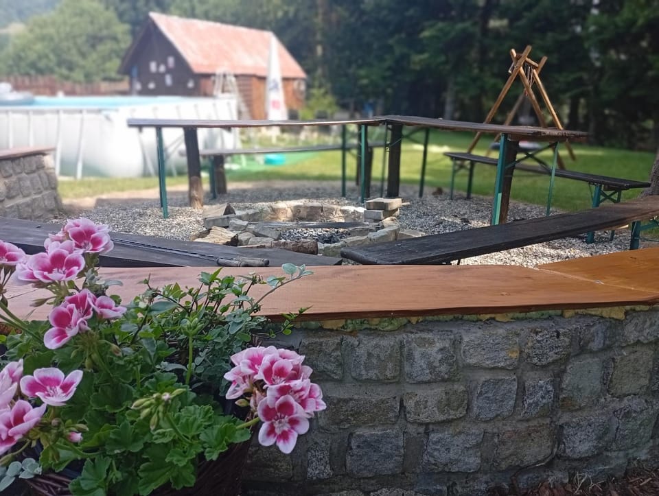 Natural landscape, Garden, Garden view