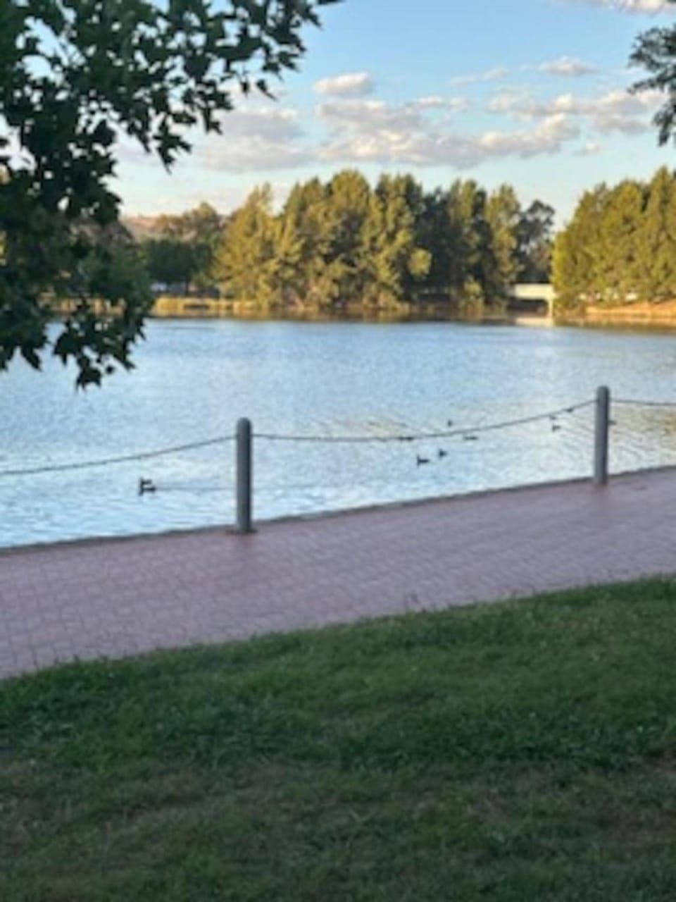 Lakefront 2BR Townhouse Pet Friendly House in Canberra