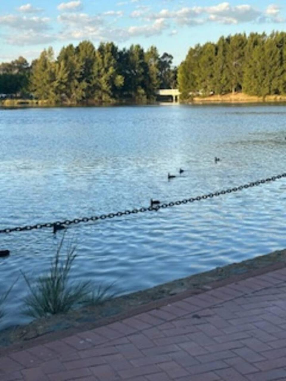 Lakefront 2BR Townhouse Pet Friendly House in Canberra