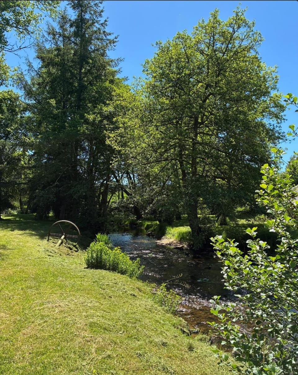 River view