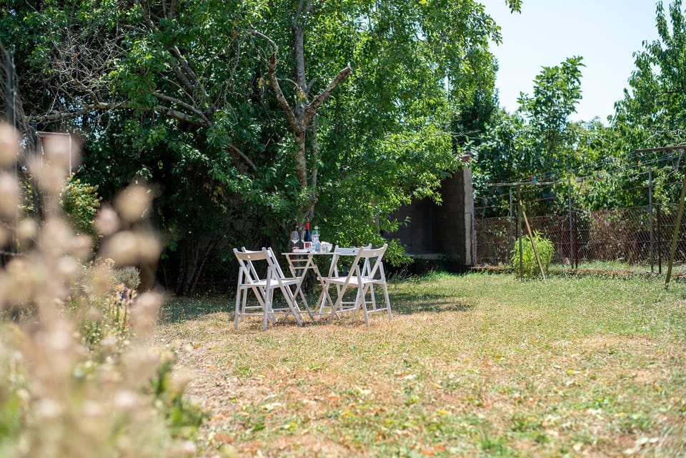 Natural landscape, Garden, Garden, Balcony/Terrace, Garden view