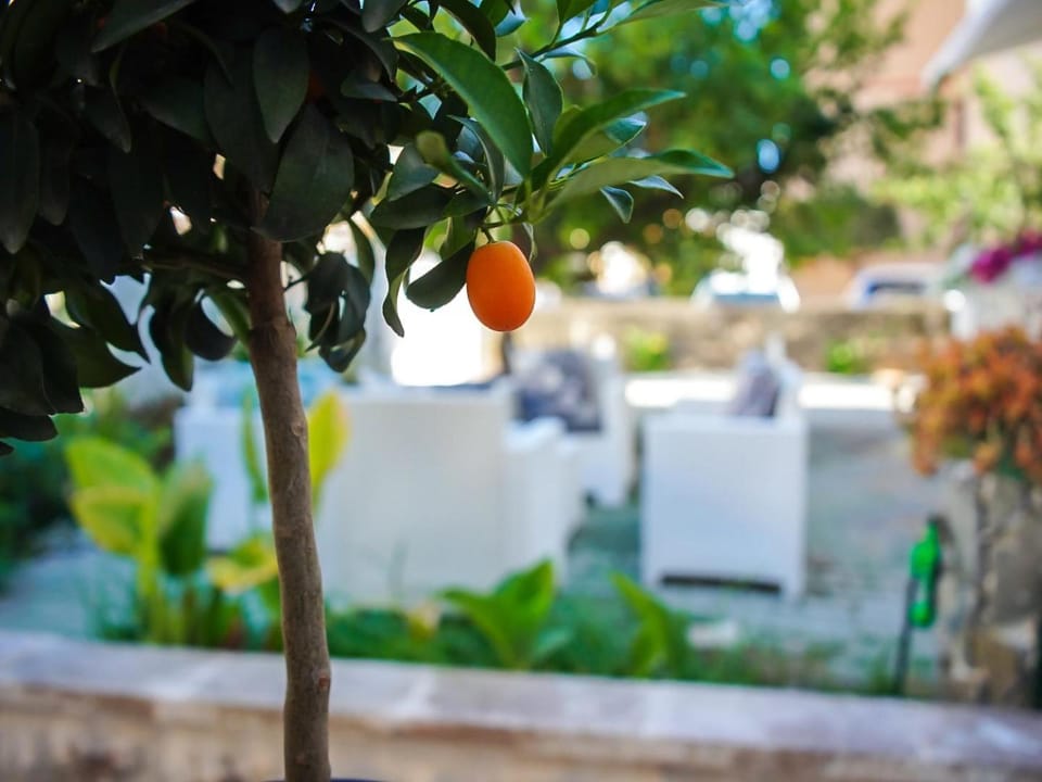 Pura Vida Luxury Rooms House in Alghero