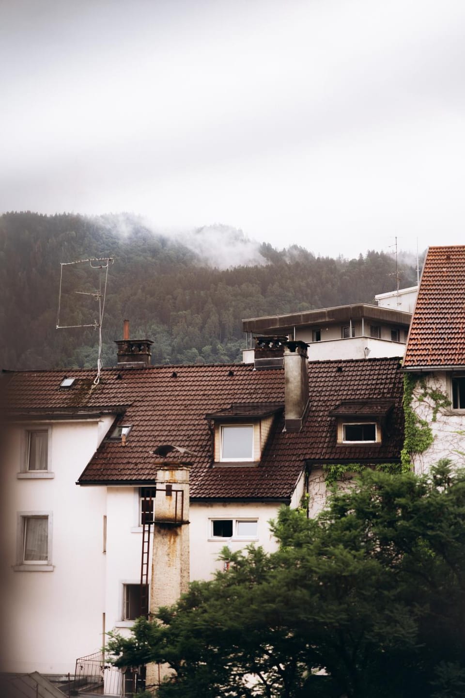 Property building, Natural landscape