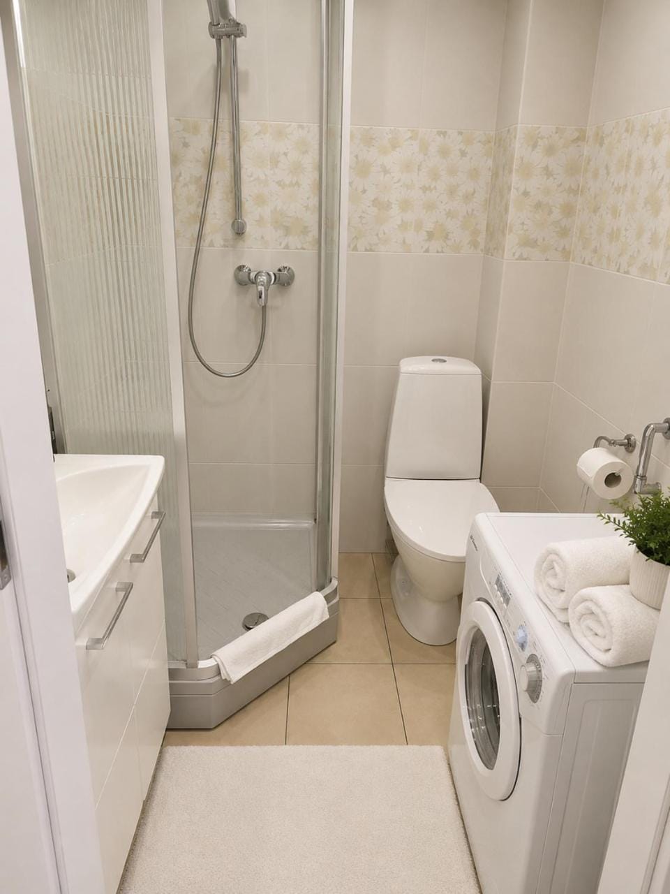 Shower, Toilet, washing machine