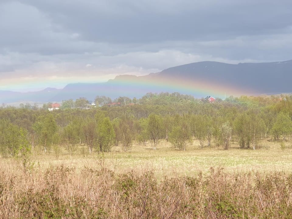 Natural landscape
