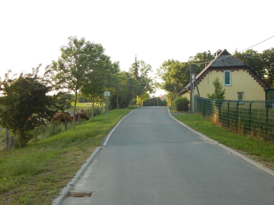 Quiet street view