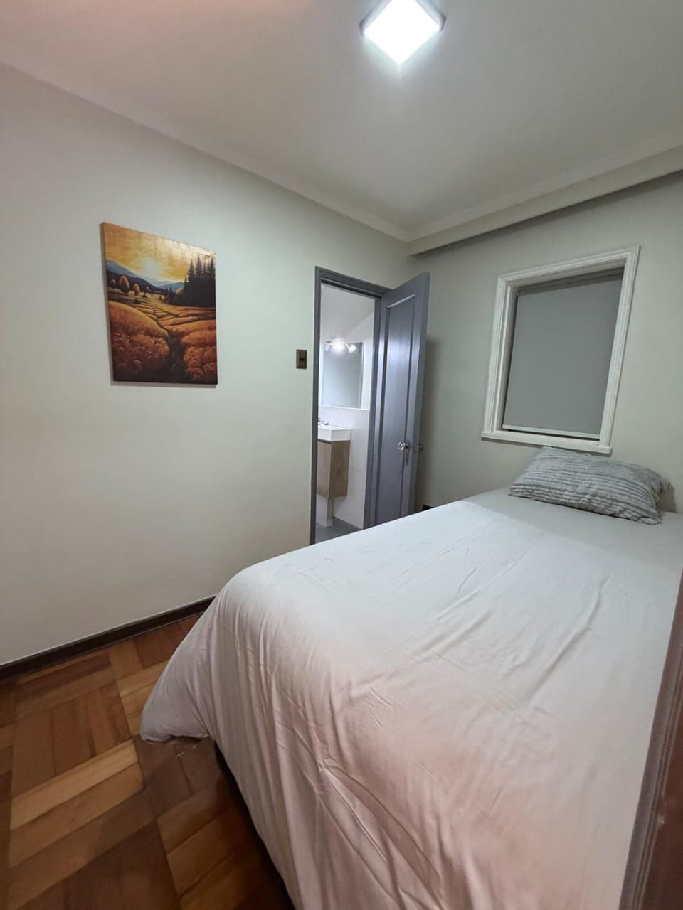 Santiago Histórico III Barrio Lastarria Apartment in Santiago