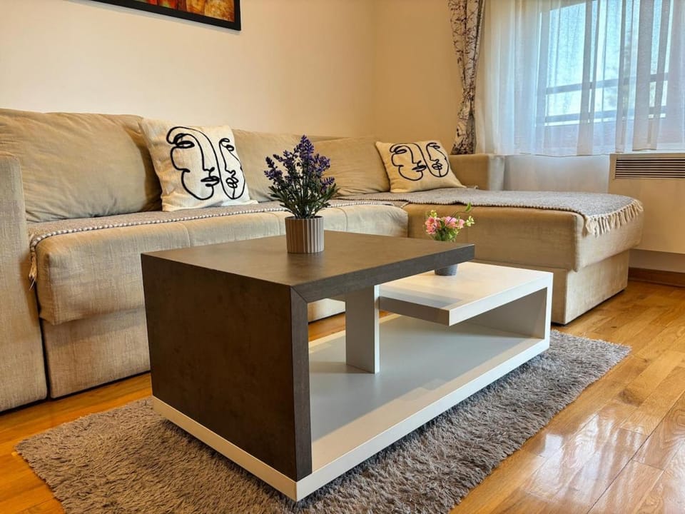 Apartman Luna Binis Zlatibor Apartment in Zlatibor