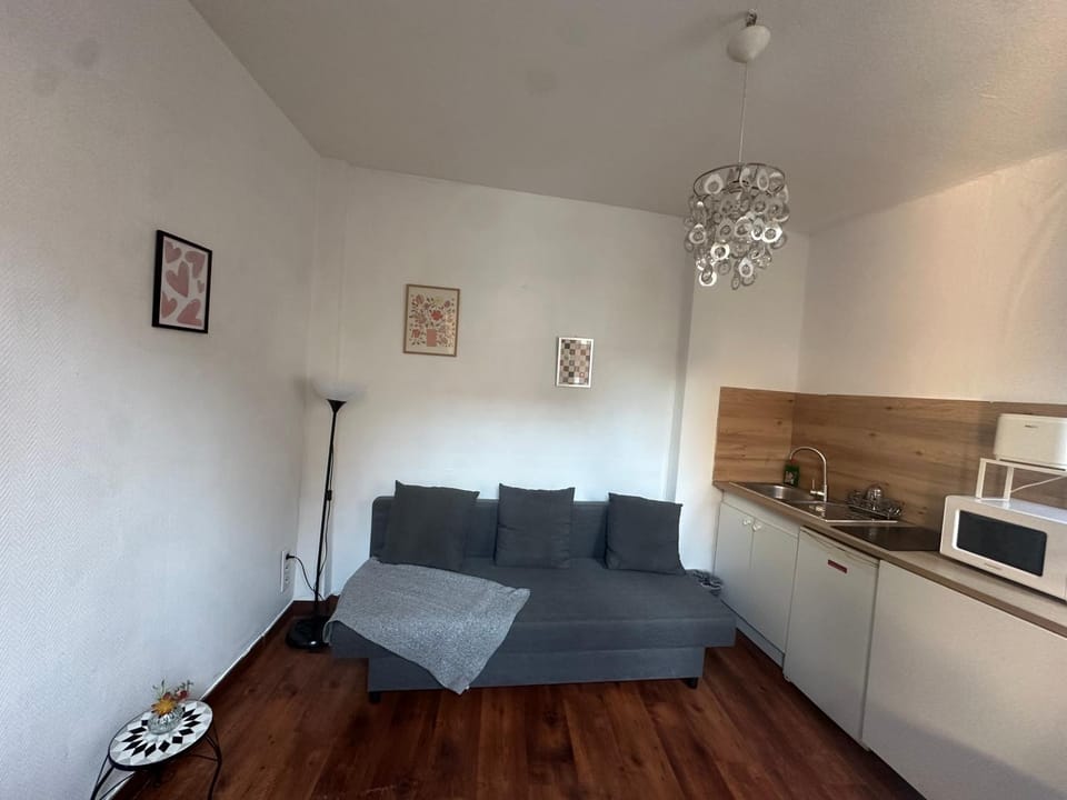 Hyper-Center Cocoon Apartment in Strasbourg