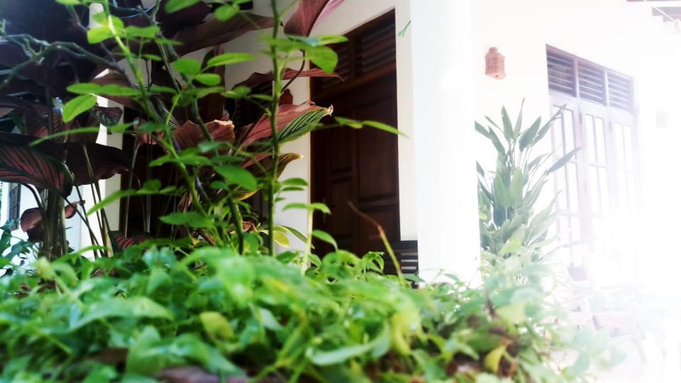 Property building, Garden