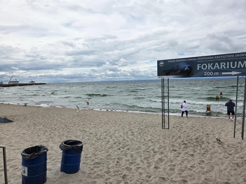 Apartament Gruba Foka Apartment in Pomeranian Voivodeship