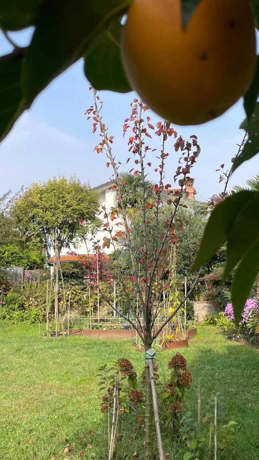 Orto in Giardino Casa Vacanze, Mansarda di charme e giardino vicino a Rho Fiera Apartment in Rho