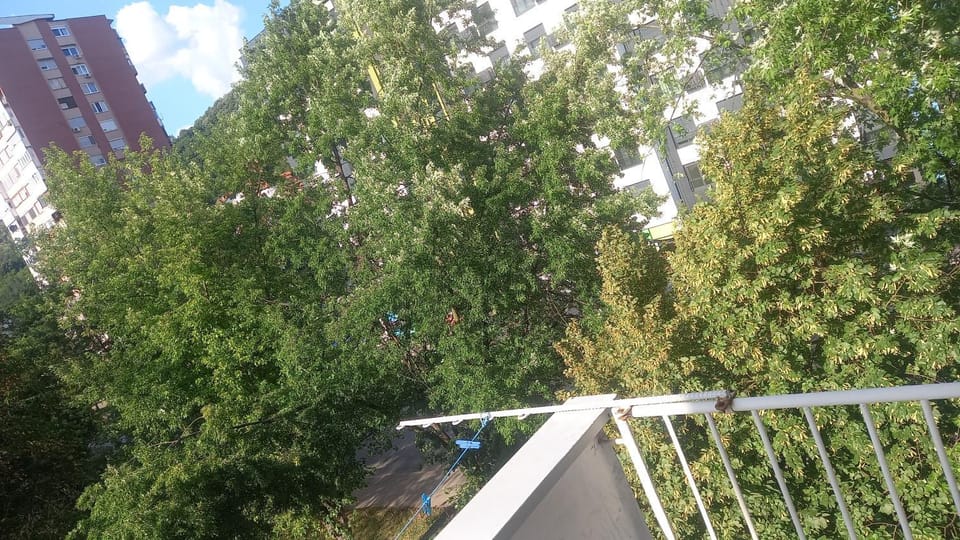 Balcony/Terrace, Balcony/Terrace