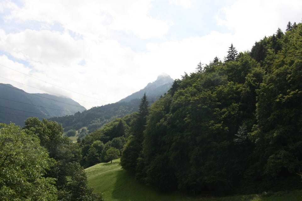 Mountain view