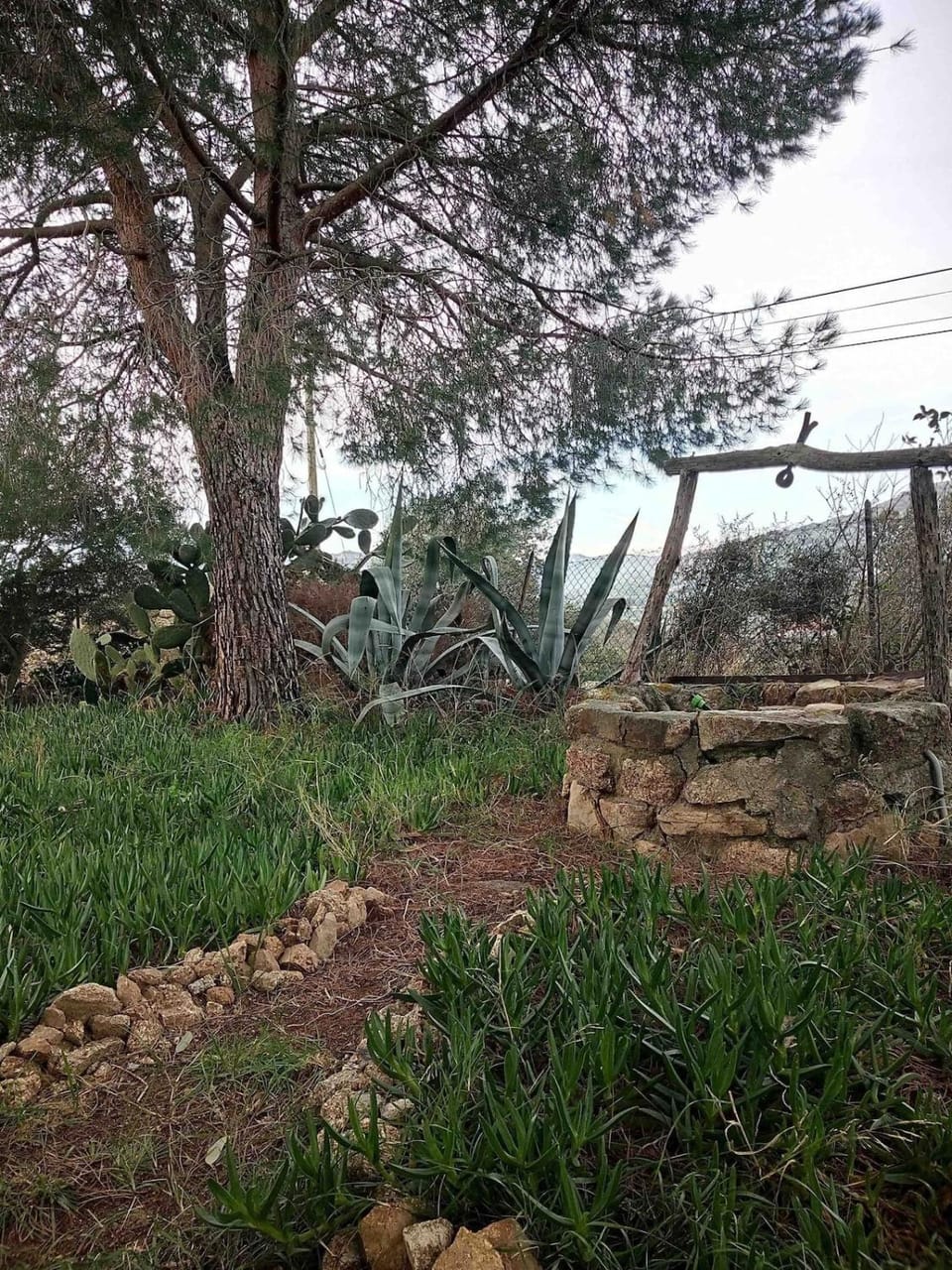 Bergerie traditionnelle en pierre, Lozari Balagne Corsica House in Belgodère