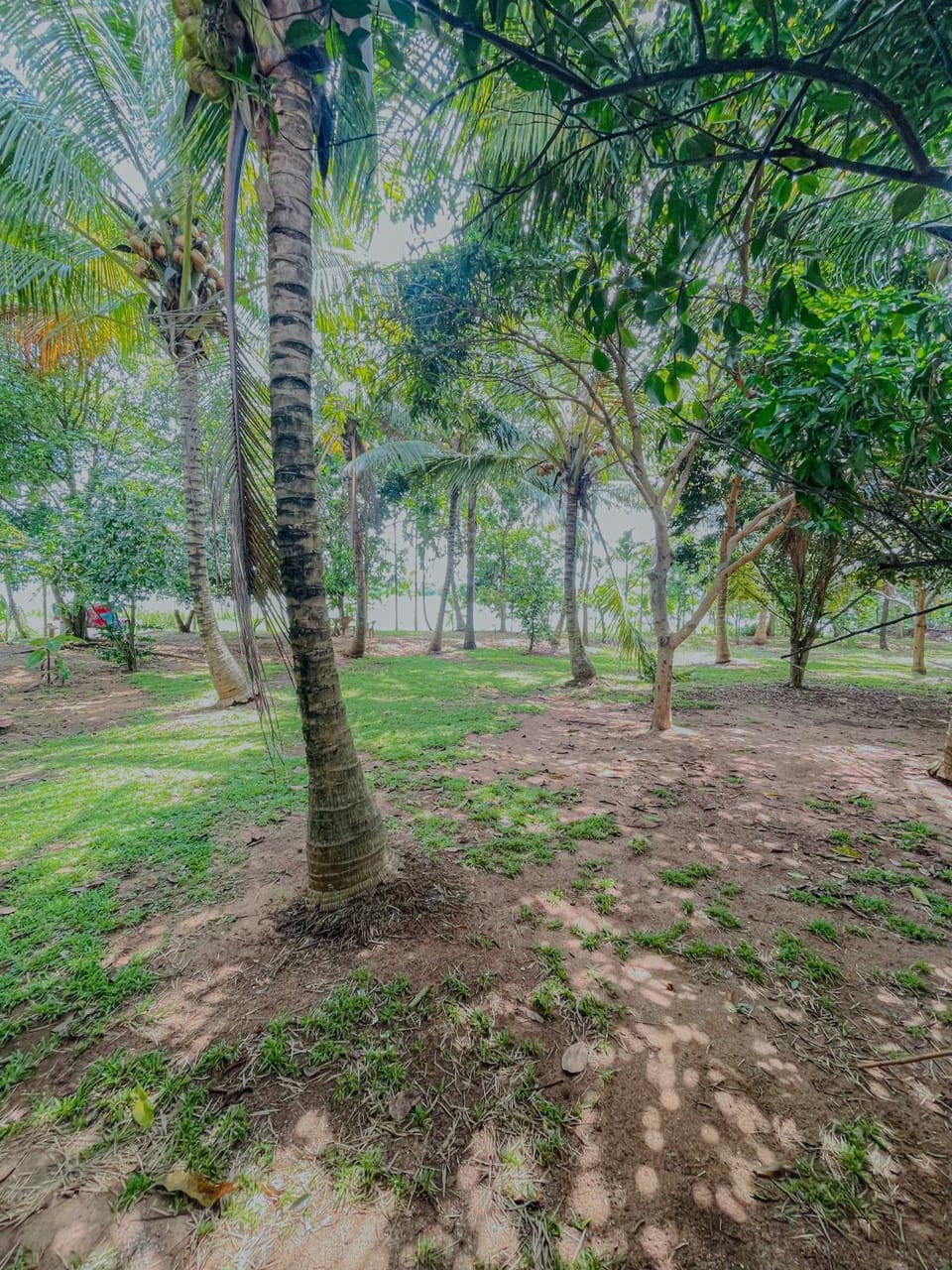 Mango breeze villa Campground/ 
RV Resort in Uva Province, Sri Lanka