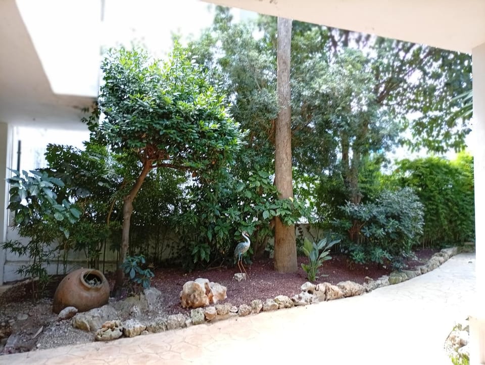 Appartement piscine Rosas Apartment in Roses