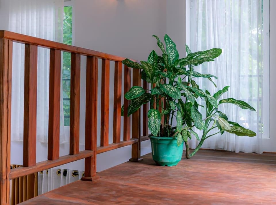 GreenHide -Weligama Vacation rental in Southern Province