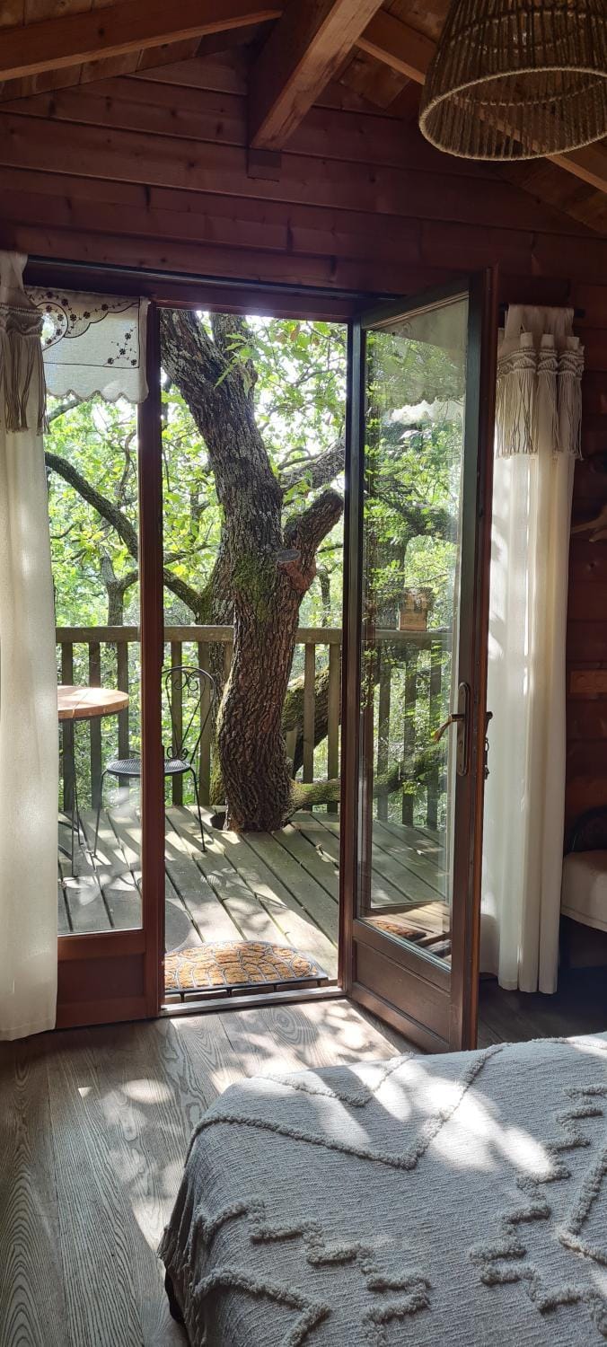 Rêve perché Bed and Breakfast in Apt