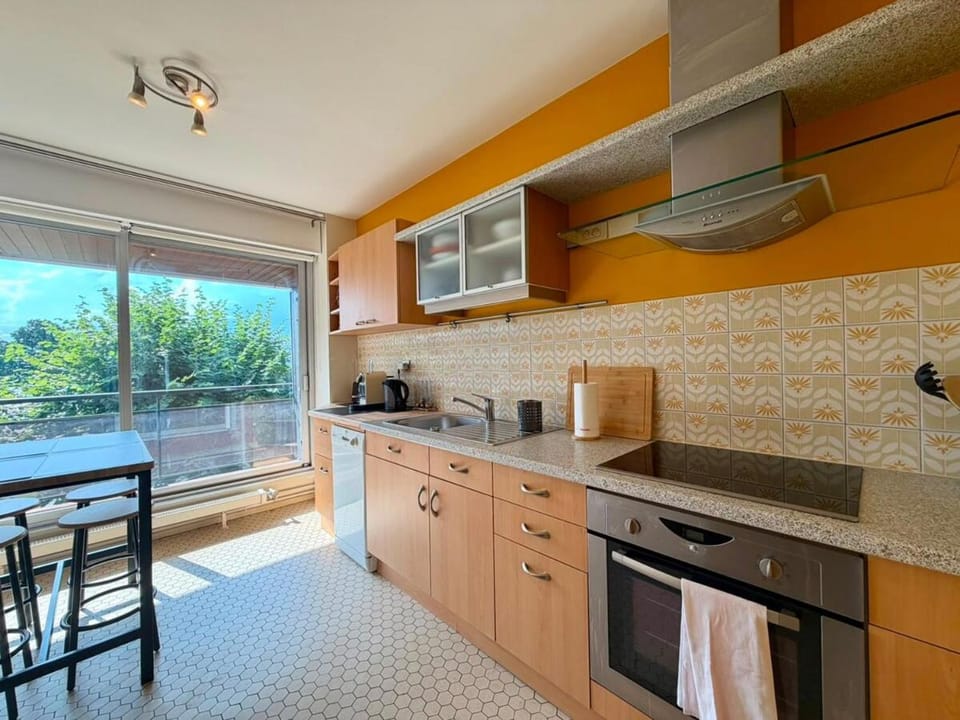 Le Belvédère - Grand T2 avec magnifique vue Lac Apartment in Thonon-les-Bains