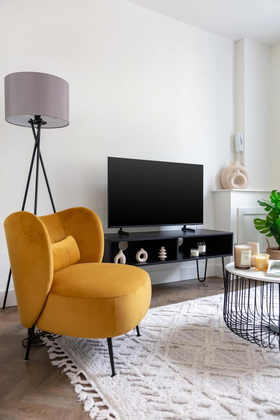 TV and multimedia