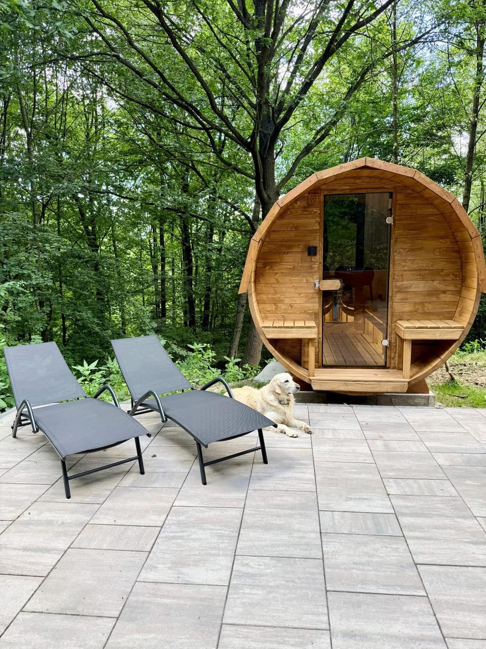 Patio, Natural landscape, Garden, Sauna, Spa and wellness centre/facilities, sunbed