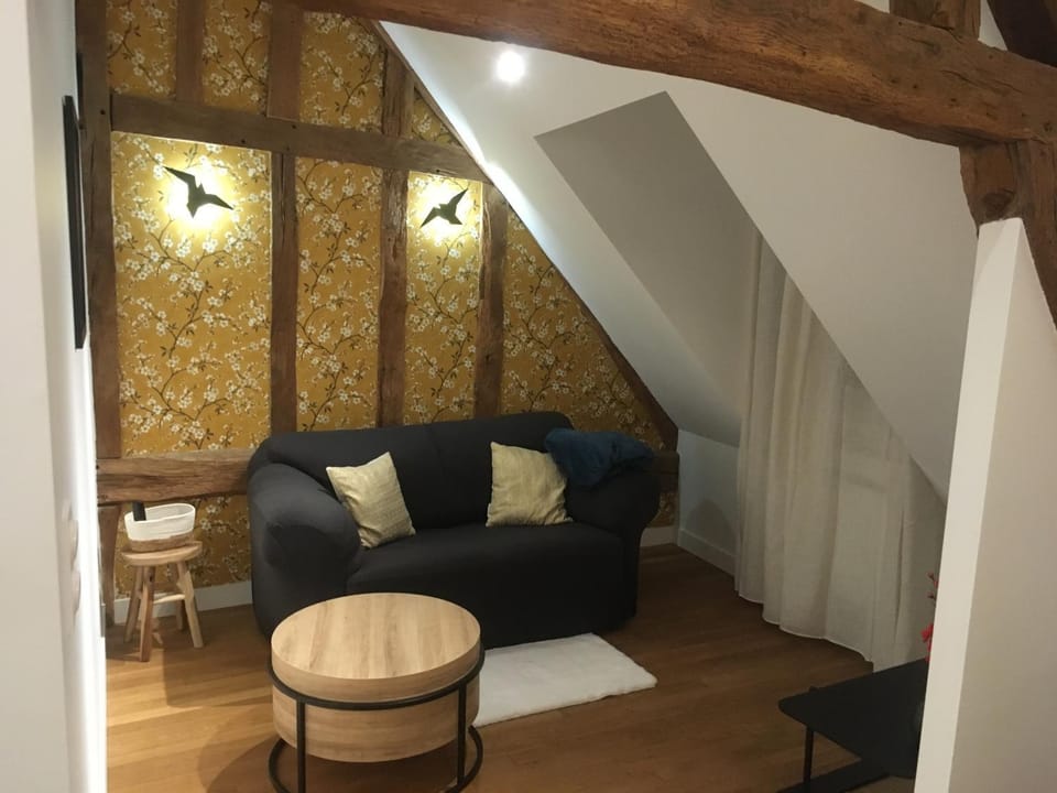 Paon bleu Apartment in Troyes