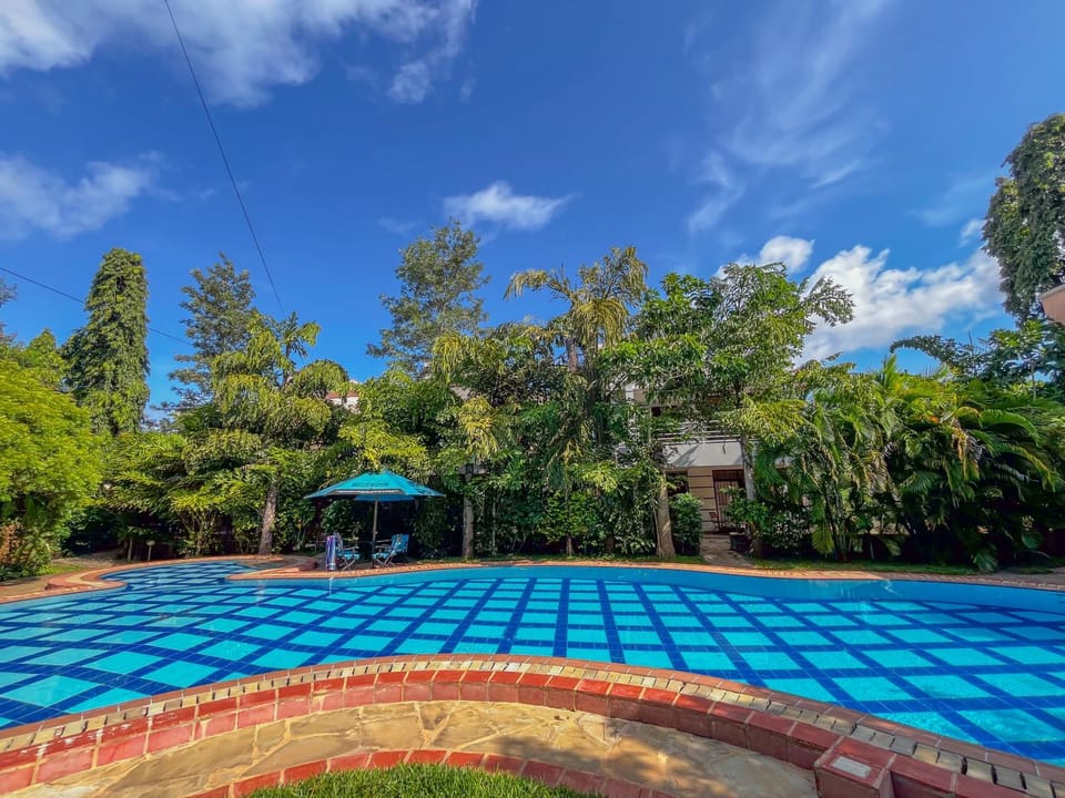 Day, Garden, Garden view, Pool view, Swimming pool, Swimming pool, sunbed